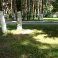 Фото Дубненская городская больница