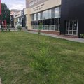 Фото Стоматологическая клиника «Мастер-Дент»
