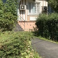 Фото Дантист-Профи