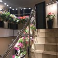 Фото Клиника лазерных технологий доктора Колокольцева Г.А.