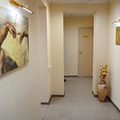 Фото Стоматологическая клиника «Аполлония»