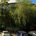 Фото Медицинский центр «Рост волос»
