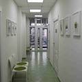 Фото Стоматологическая клиника «DentalPRO»