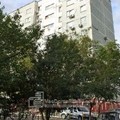 Фото Вита Дент