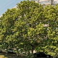 Фото Городская стоматологическая поликлиника №3