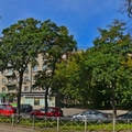 Фото «Институт остеопатии Мохова» на Ланском шоссе