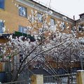 Фото Городская поликлиника №3