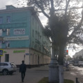 Фото «Диагностика плюс» на Кирова