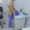 Фото Стоматология «Доступная улыбка» на Фадеева