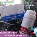 Фото Медицинский центр «Авиценна» на Радищева 31