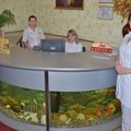 Фото Медицинский центр «Ориго» на Лычманова