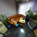 Фото Клиника доктора Звонарева