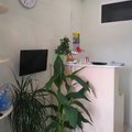 Фото Стоматология «Эстет»