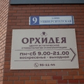 Фото Стоматология «Орхидея» на Университетской