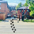 Фото Стоматология «Альянс-Про»