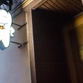 Фото Полистом на 9-й линии В.О.