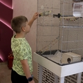 Фото «Стоматология №1» на Космодемьянской