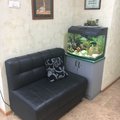 Фото Стоматологическая клиника Мечковских