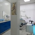 Фото Стоматология «Белый медведь»