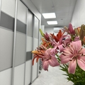 Фото Стоматологический центр iZUB.RU