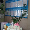 Фото Ваш доктор