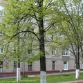 Фото Детская консультация