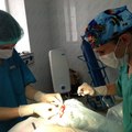 Фото Медицинский центр «ЛОР-клиника»