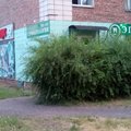 Фото Стоматологическая клиника «Эгида»