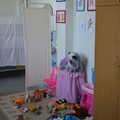 Фото ДГБ №19 им. К.А. Раухфуса на Суворовском проспекте