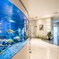 Фото French Dental Clinic на 2-й Звенигородской
