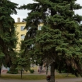 Фото Стоматология «Эльбрус»
