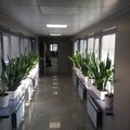 Фото Сибирский окружной медицинский центр ФМБА России