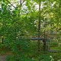 Фото Жемчужина