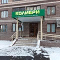 Фото Колибри