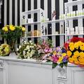 Фото Клиника эстетической медицины «Классика»