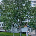 Фото Лаборатория «Инвитро» на Тихоокеанской