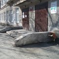 Фото Женская консультация КБ №2
