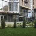 Фото «Стоматология Анатолия Мартынова»