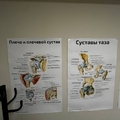 Фото Суставлаб