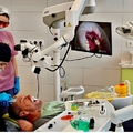 Фото Стоматология «Bonum Medicus»