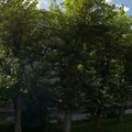 Фото Детская городская клиническая стоматологическая поликлиника