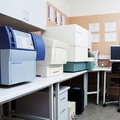 Фото Лаборатория «CMD» на Юрьева