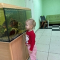 Фото Медицинский центр «Рождение»