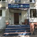 Фото Жемчужина