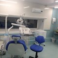 Фото PARADISE