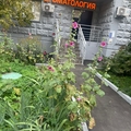 Фото Стоматологическая клиника «Имадент»