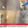 Фото Клиника «Доктор Проф»