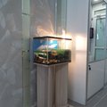 Фото Стоматологическая клиника «Лига Дент»