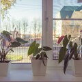 Фото Медицинский центр «Земский врач» на Советской