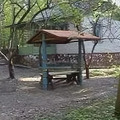 Фото Санаторий «Калуга-Бор»